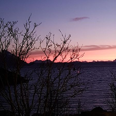 Lofotbo Villa Stamsund Exterior foto